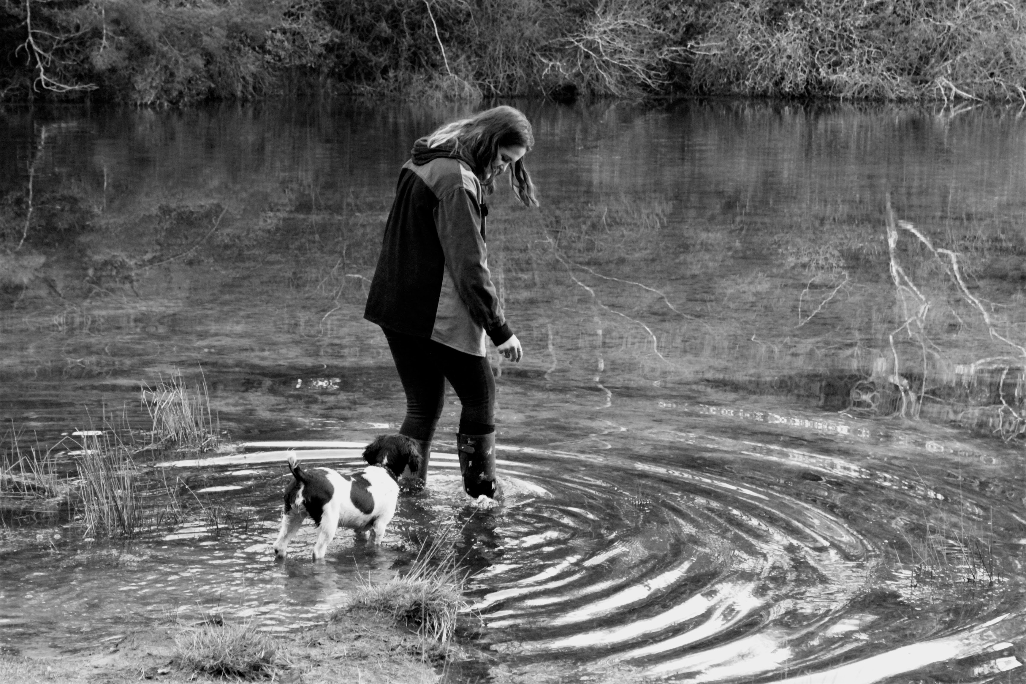 an image of a female walking in shallow water with a young spaniel puppy behind her.