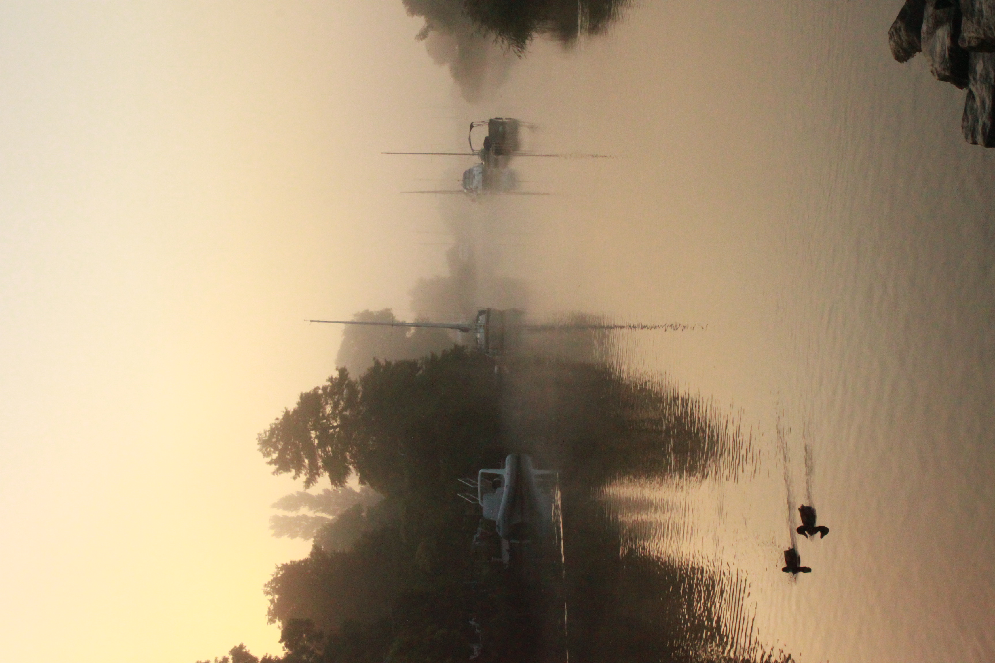 an image of a misty river scene.