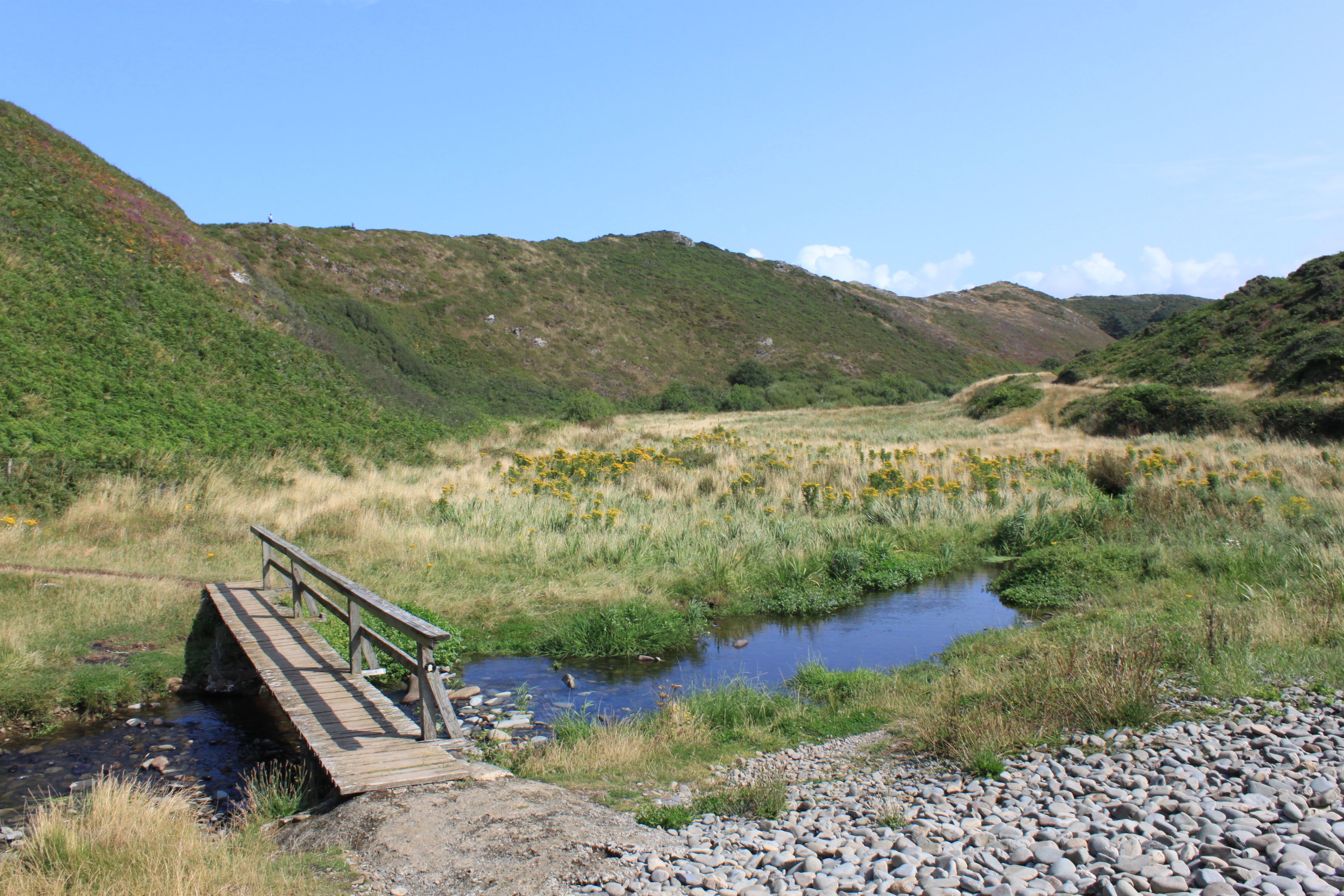 an image of green landscape with a bridge crossing a stream.