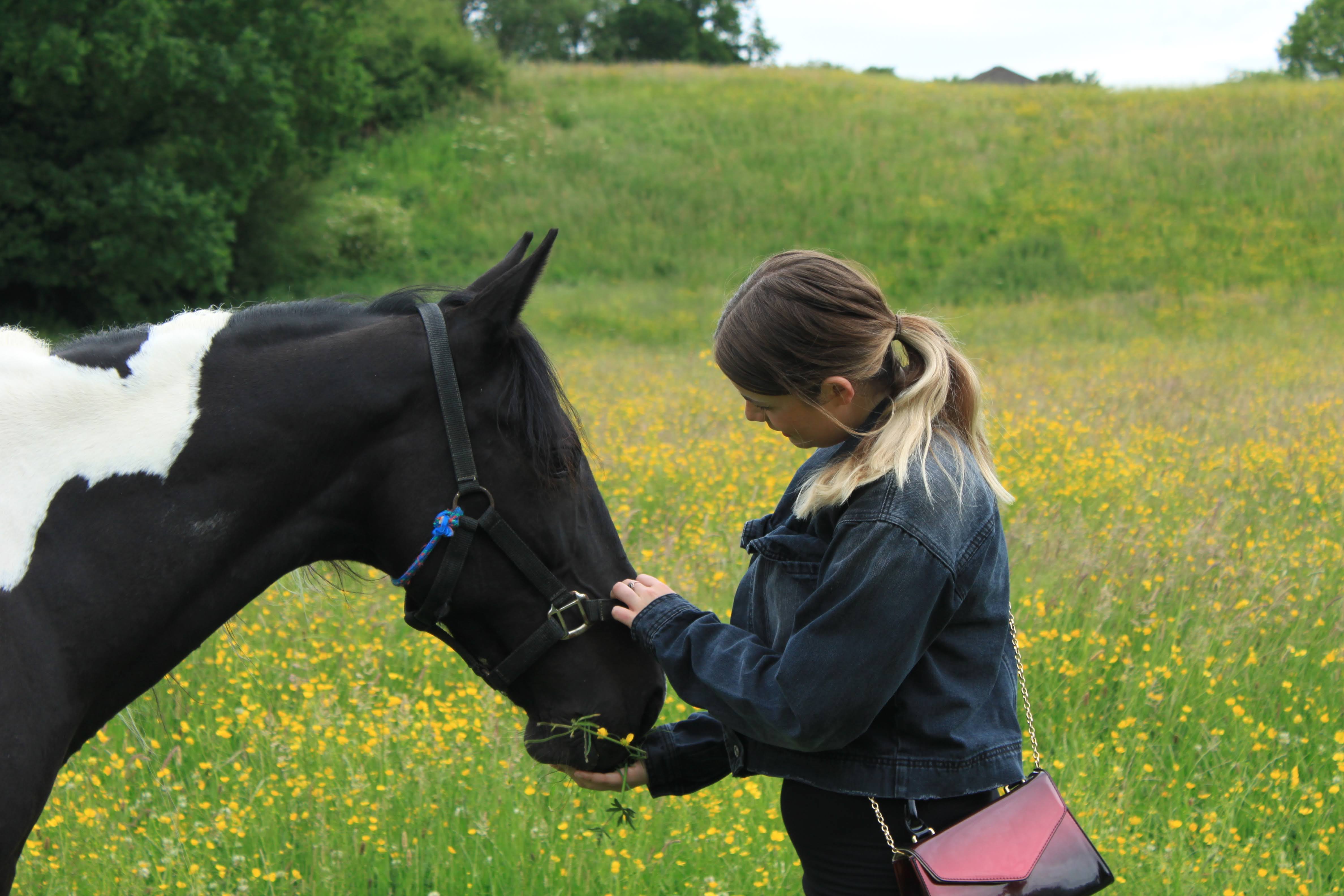 an image of a white female who is stroking a horse in a field of yellow flowers.