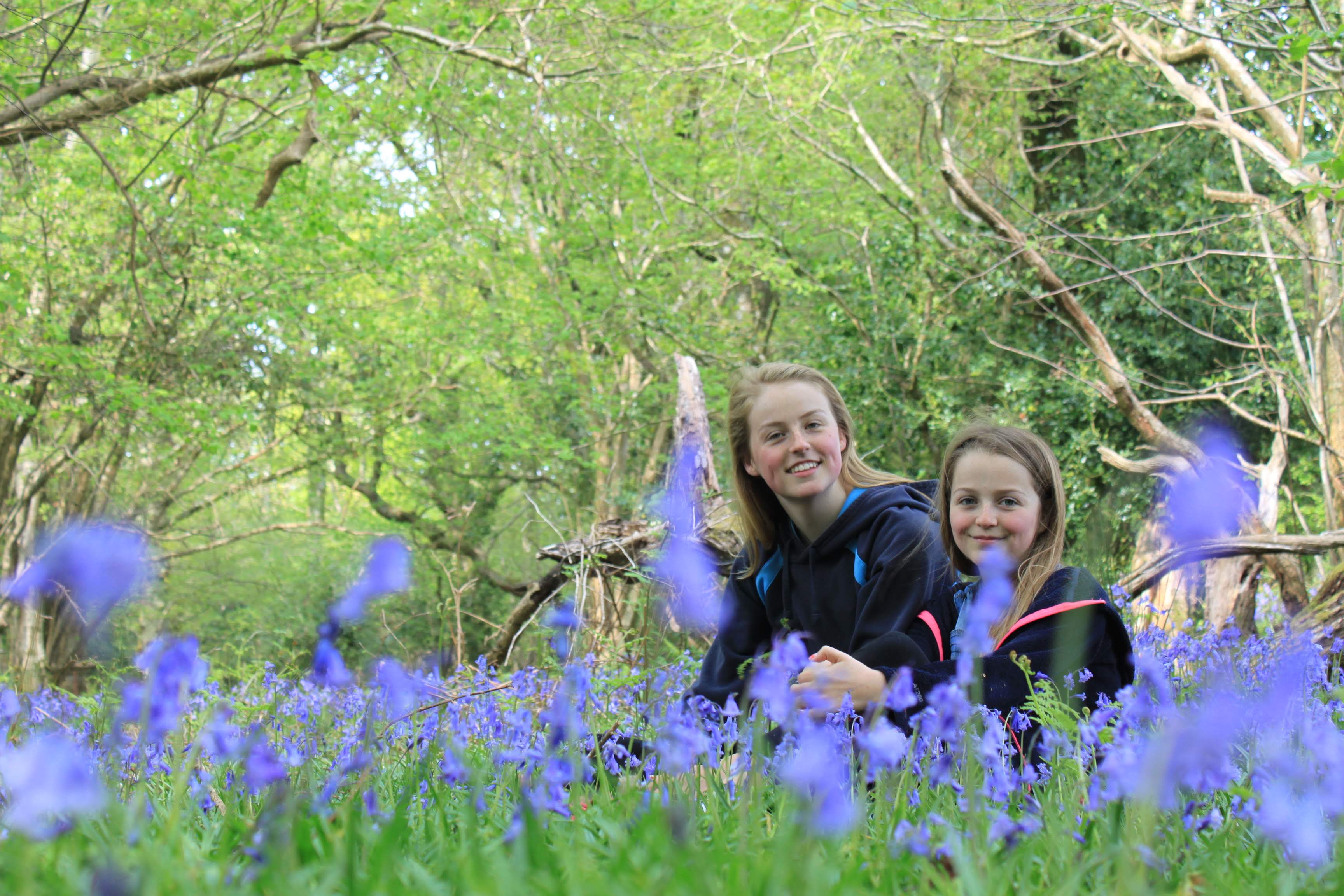 an image of two young teenagers sat in a field of bluebells.