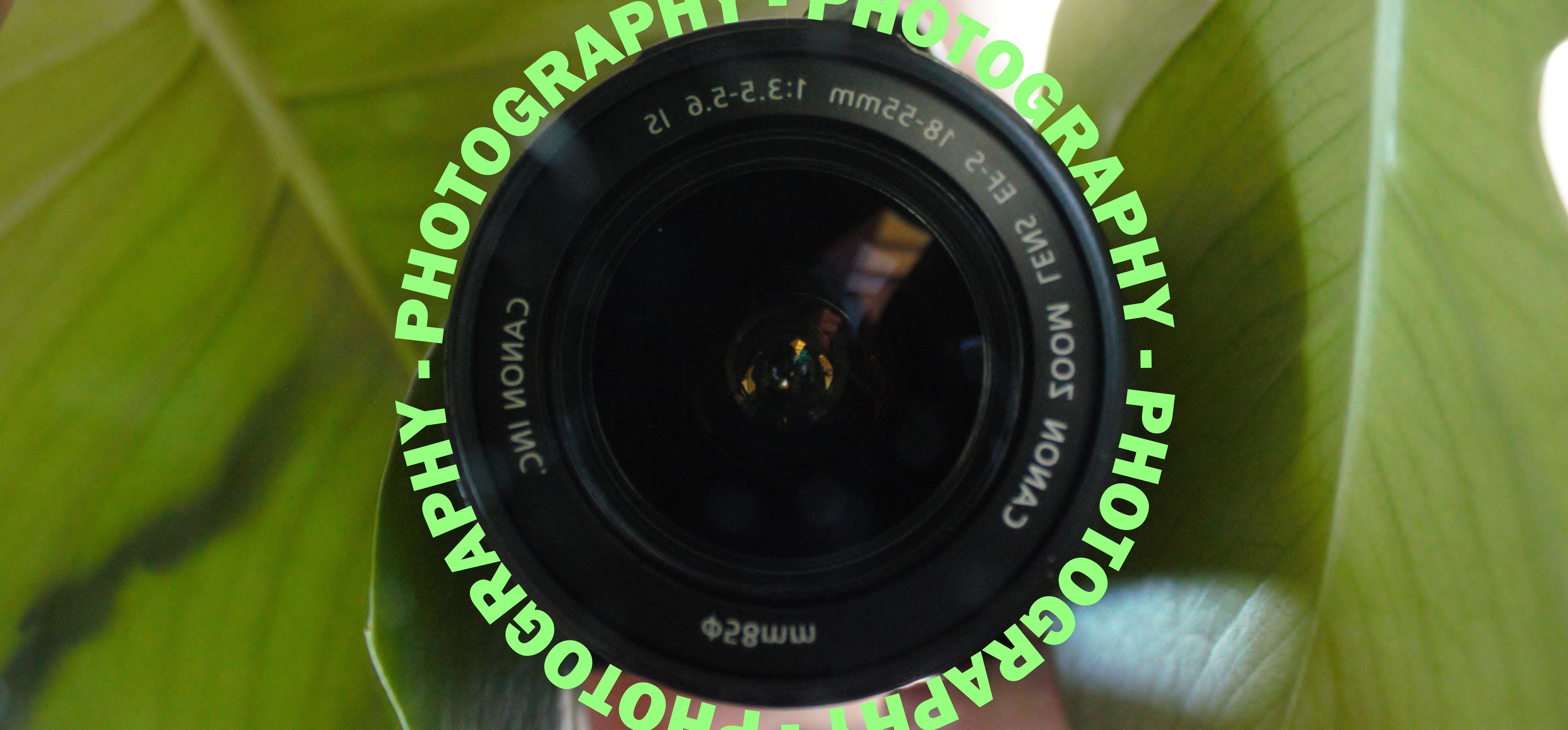 an image of a camera emerging from between monstera leaves with photography written in a bright green font, framing the camera lens